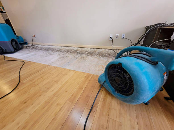 Professional Water Removal technician working in Springfield, PA